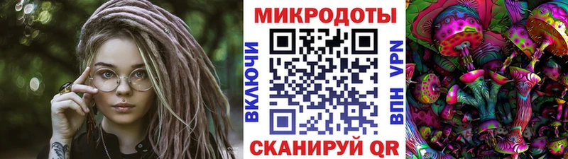 Псилоцибиновые грибы мицелий  Кашин 