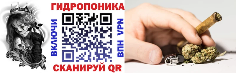 Шишки марихуана конопля  площадка какой сайт  Кашин  где продают  